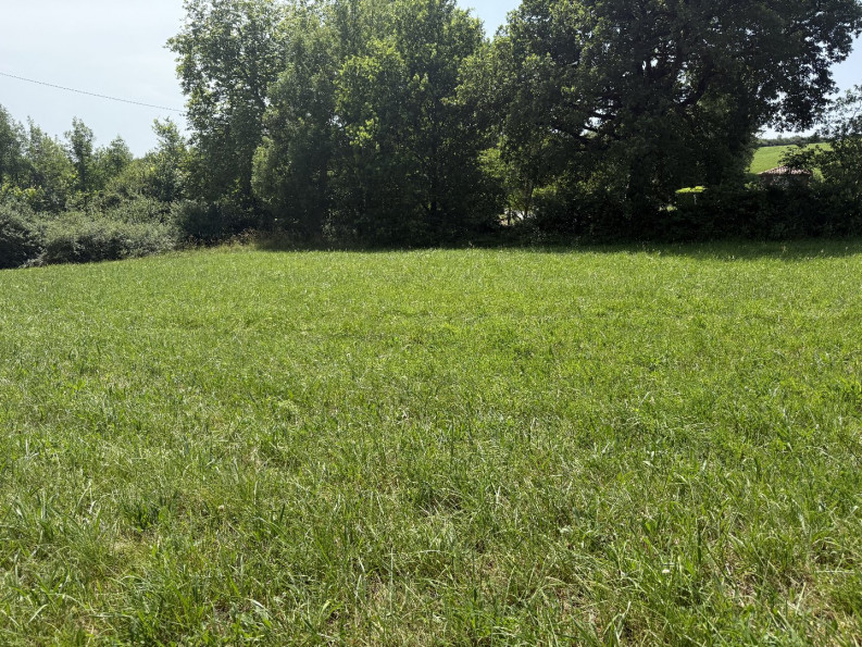 vente Terrain constructible Labecede Lauragais - Photo 11