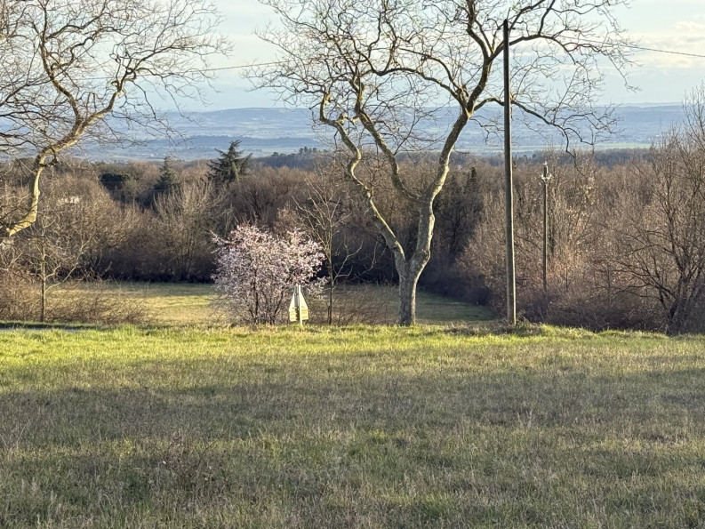 vente Terrain constructible Labecede Lauragais - Photo 3