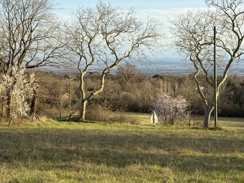 vente Terrain constructible Labecede Lauragais - Photo 1