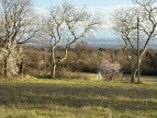 vente Terrain constructible Labecede Lauragais