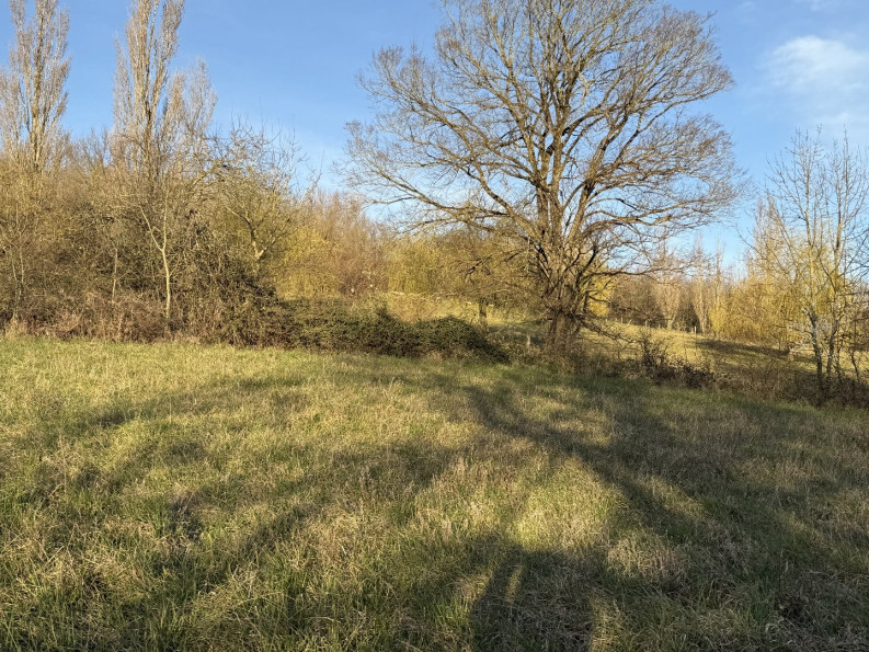 vente Terrain constructible Labecede Lauragais - Photo 9