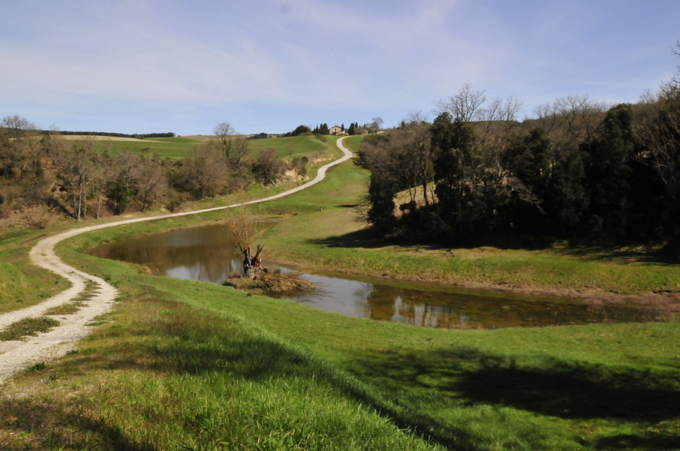 sale Domaine Montreal - Photo 7