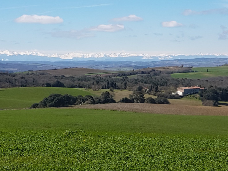 sale Domaine Montreal - Photo 2