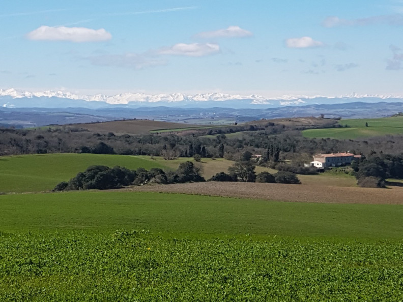 vente Domaine Montreal - Photo 2