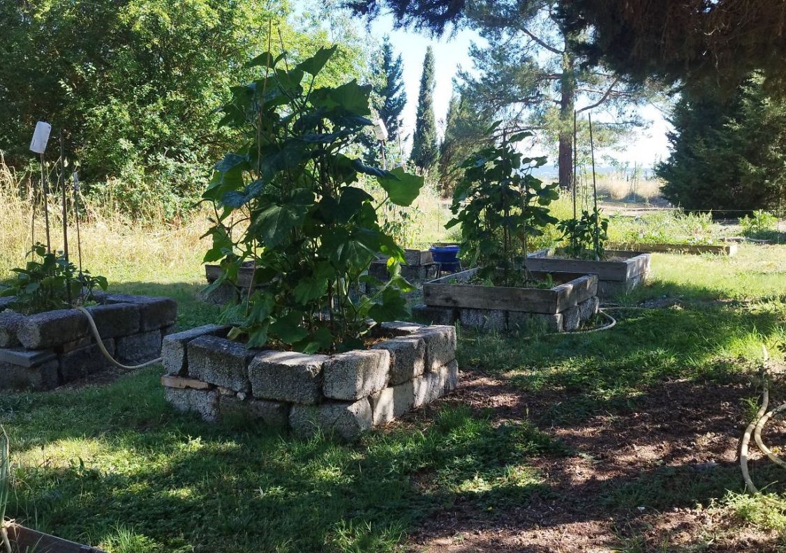 vente Maison Carcassonne
