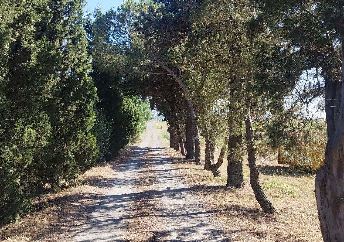 vente Maison Carcassonne