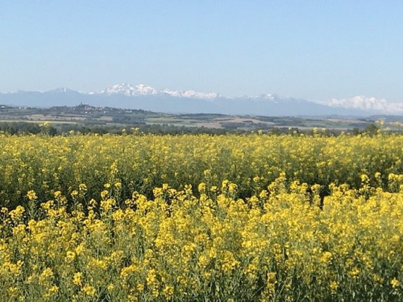 sale Maison Carcassonne - Photo 10