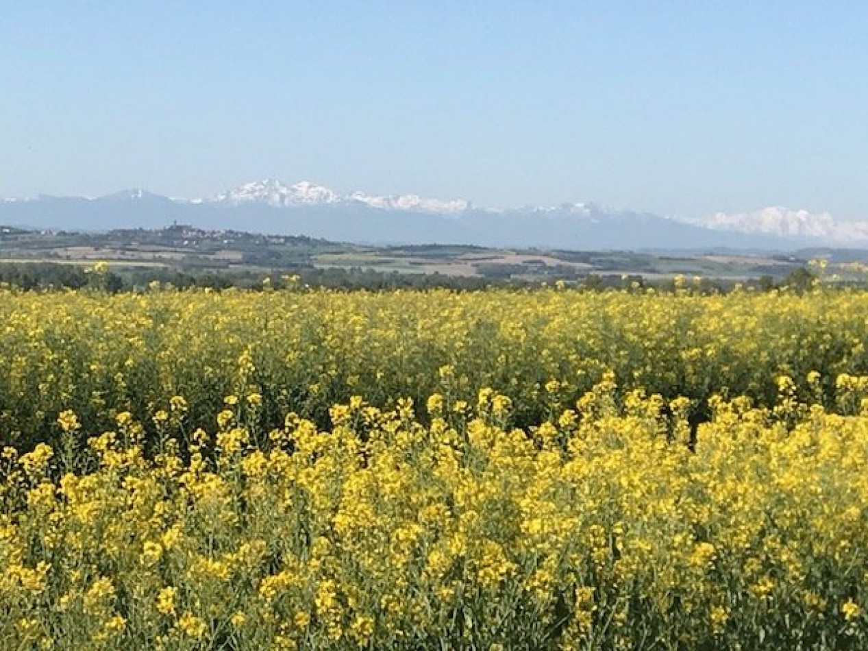 vente Maison Carcassonne - Photo 10