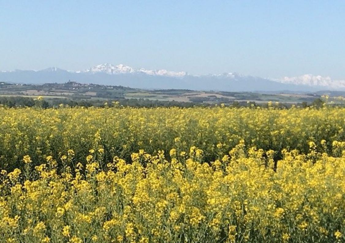 vente Maison Carcassonne