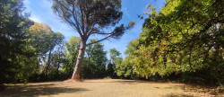 vente Maison Castelnaudary