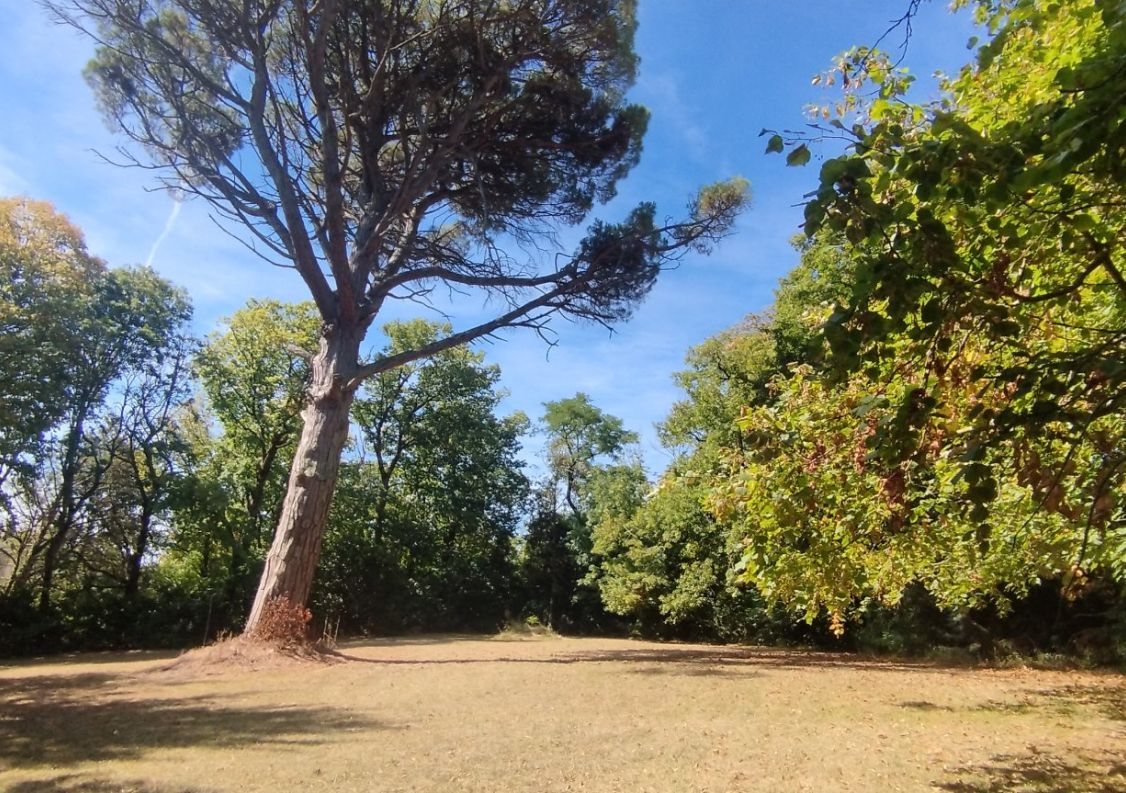 vente Maison Castelnaudary