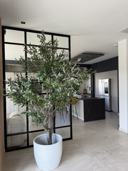 vente Villa d'architecte Carcassonne - Photo 10