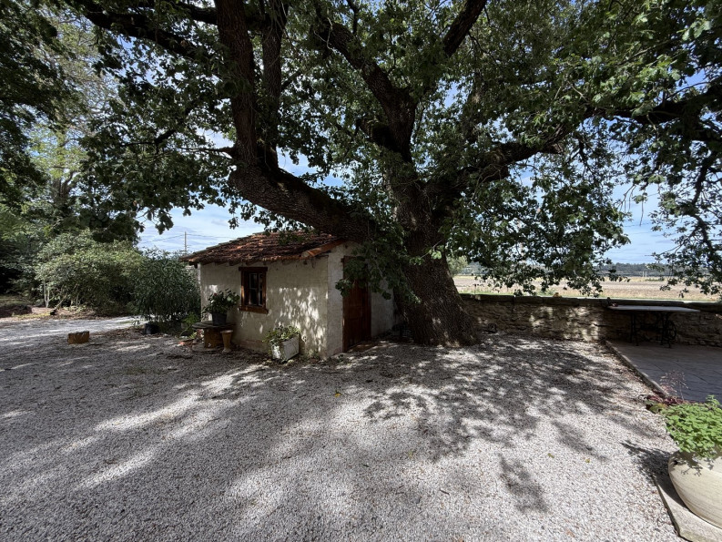 sale Maison de maître Mas Saintes Puelles - Photo 4