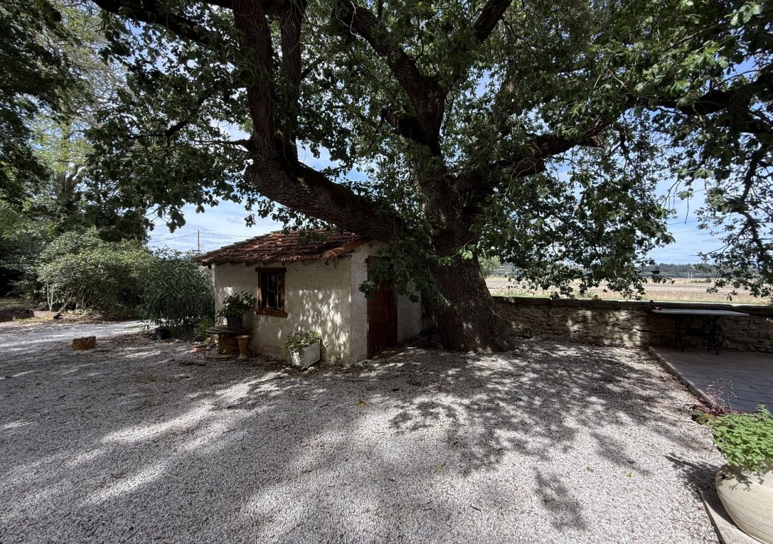 vente Maison de maître Mas Saintes Puelles