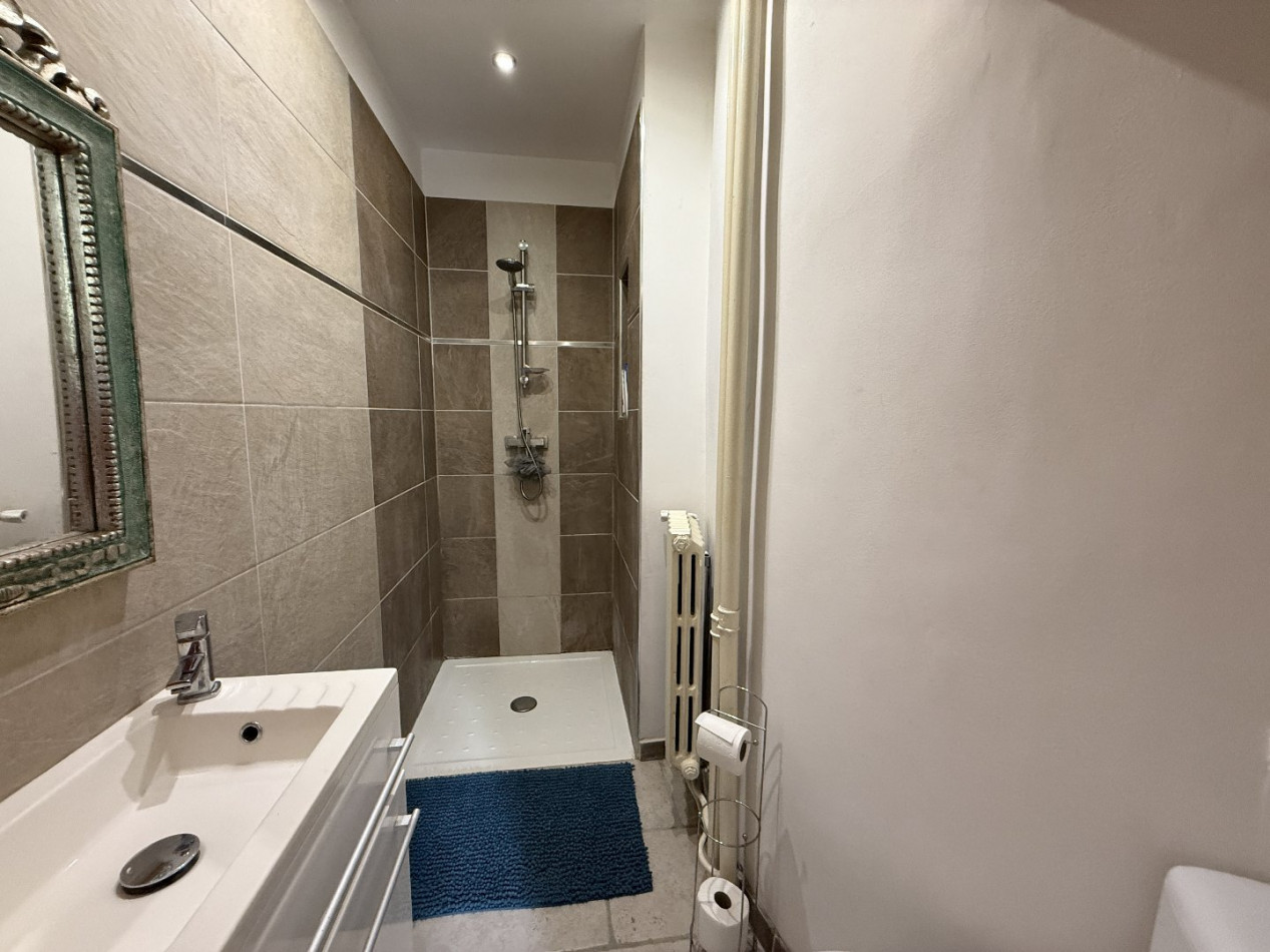 vente Maison de maître Mas Saintes Puelles - Photo 20