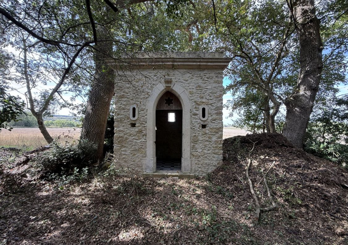 vente Maison de maître Mas Saintes Puelles