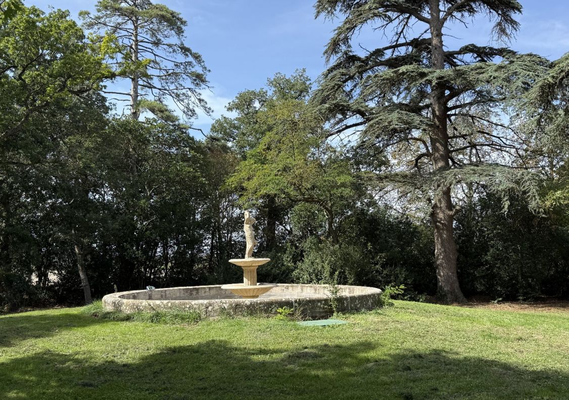 vente Maison de maître Mas Saintes Puelles