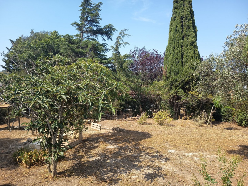 vente Ensemble immobilier Cascastel Des Corbieres - Photo 7