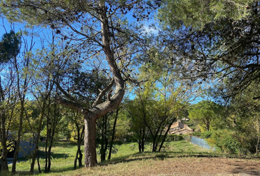 vente Terrain Carcassonne - Photo 2