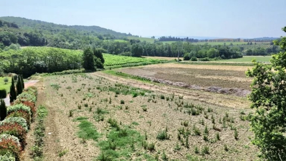 vente Terrain Saint Martin De Villereglan - Photo 1