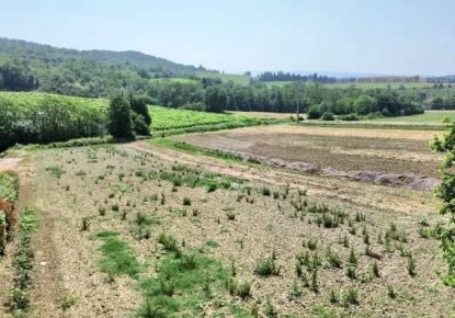 vente Terrain Saint Martin De Villereglan