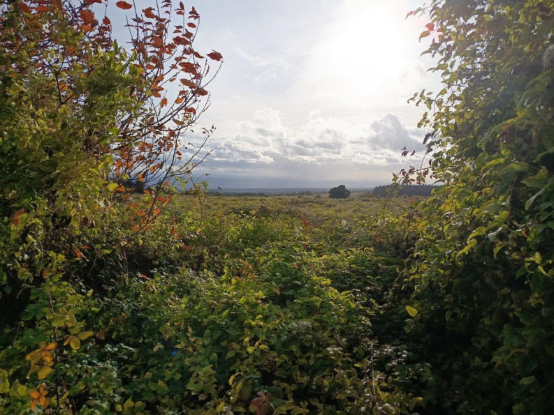 vente Corps de ferme La Tourette Cabardes - Photo 20