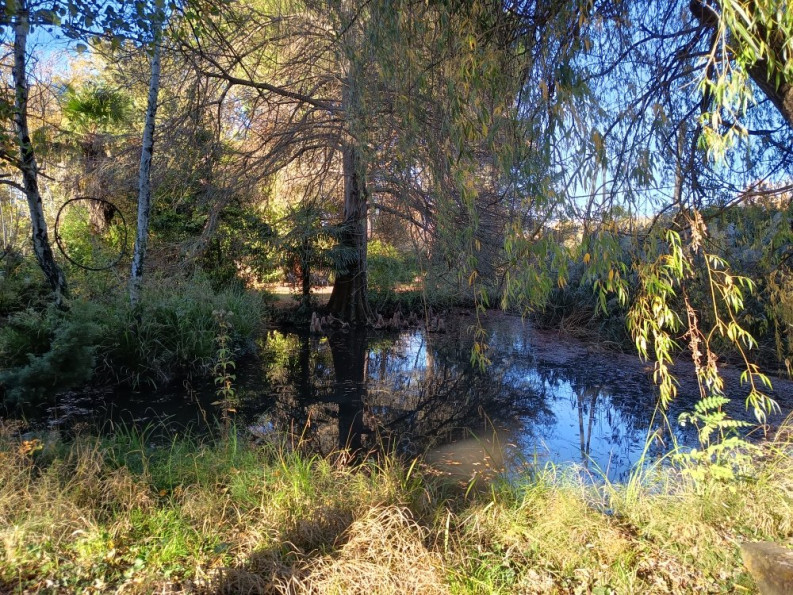 vente Maison Carcassonne - Photo 17