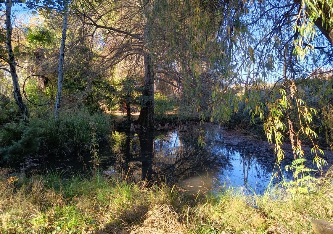 vente Maison Carcassonne
