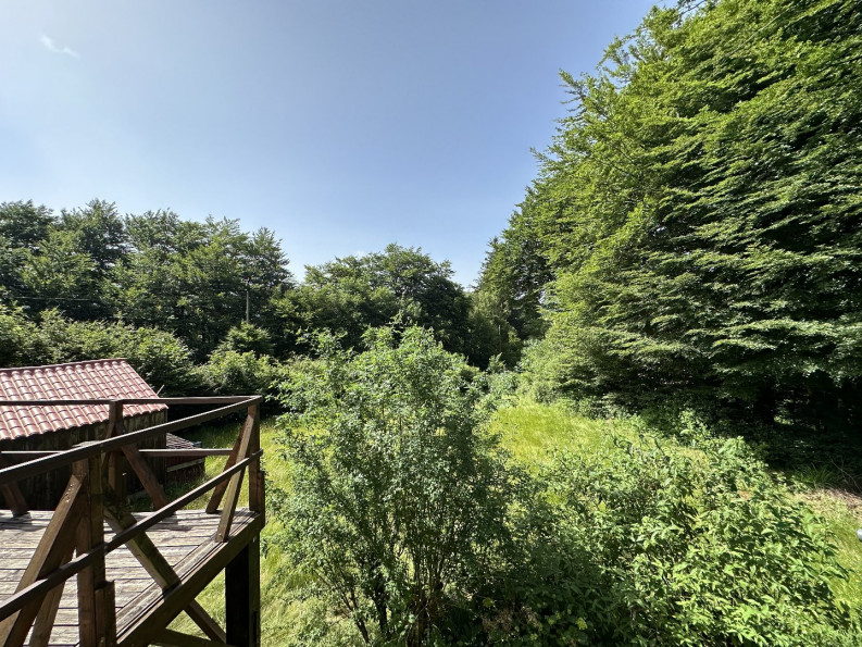 vente Maison à rénover Lacabarede - Photo 20