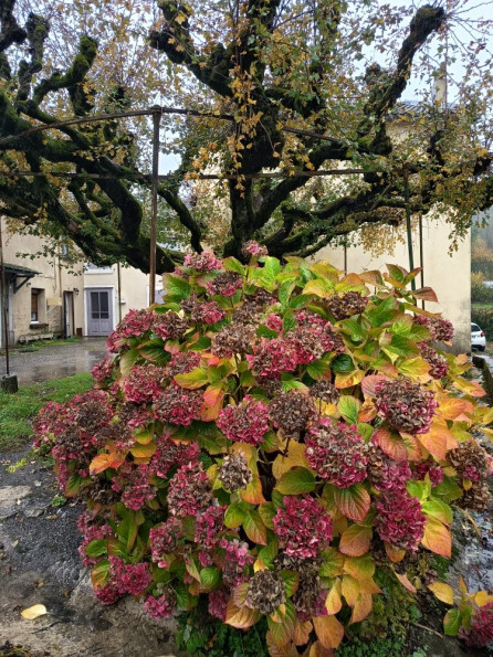 vente Maison de village Lacombe - Photo 15