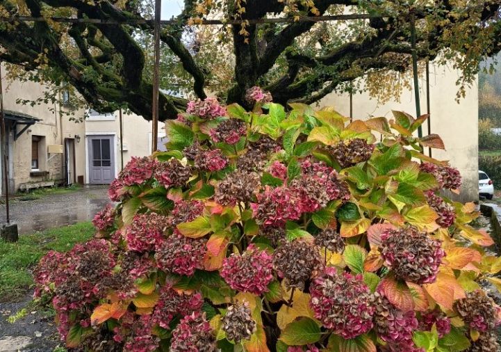 vente Maison de village Lacombe