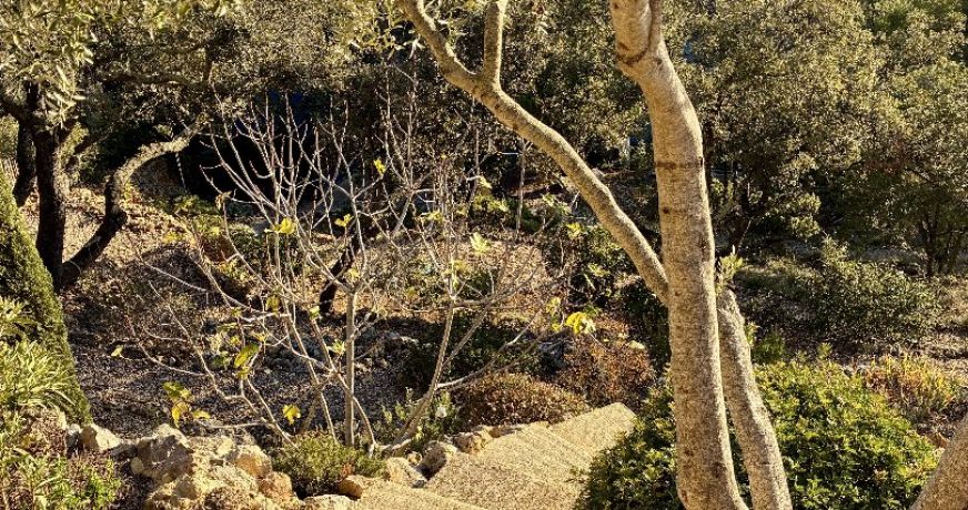 vente Maison en pierre Durban Corbieres