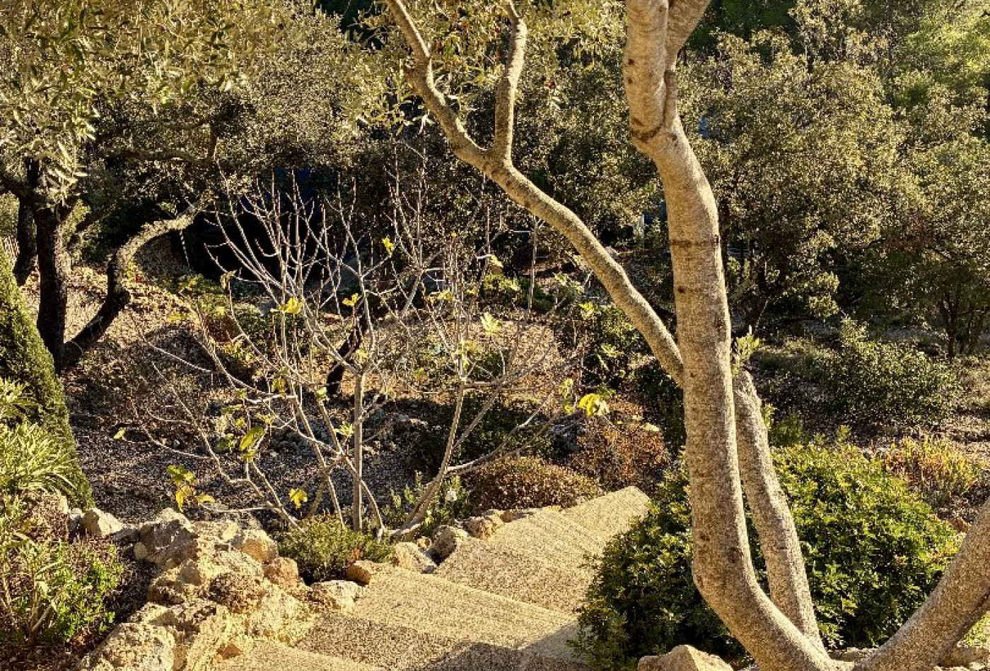 vente Maison en pierre Durban Corbieres - Photo 10