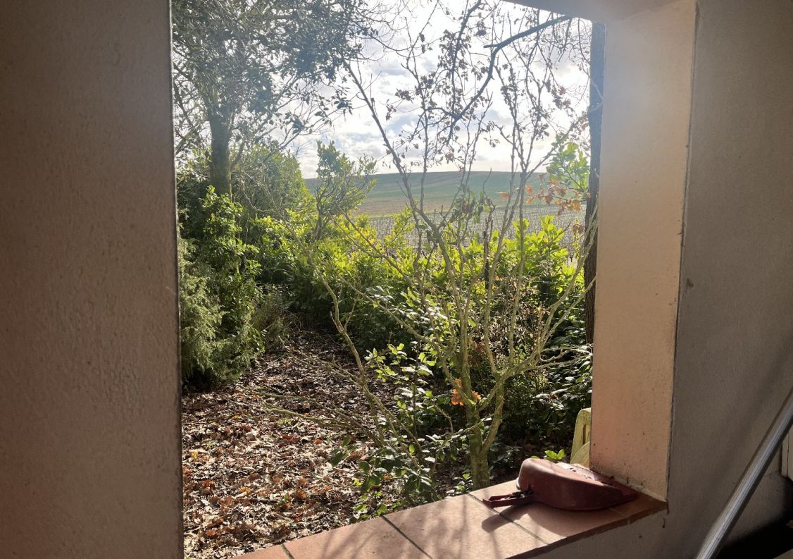 vente Domaine Belveze Du Razes