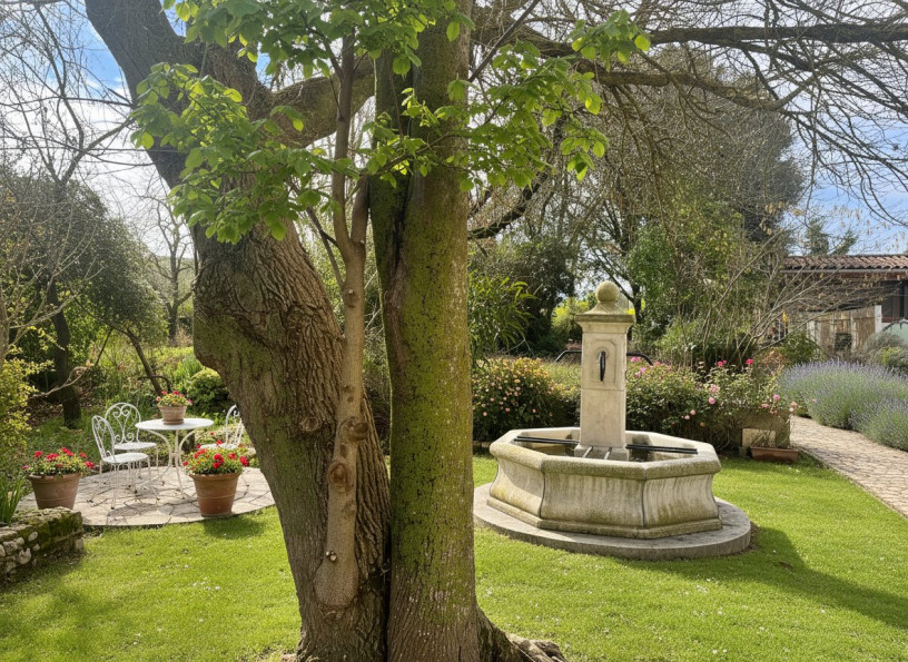 vente Domaine Belveze Du Razes - Photo 4