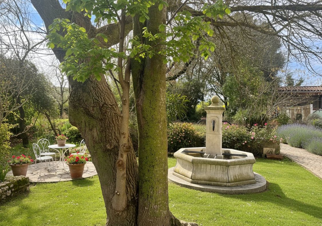 vente Domaine Belveze Du Razes