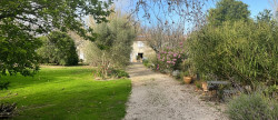 vente Domaine Belveze Du Razes