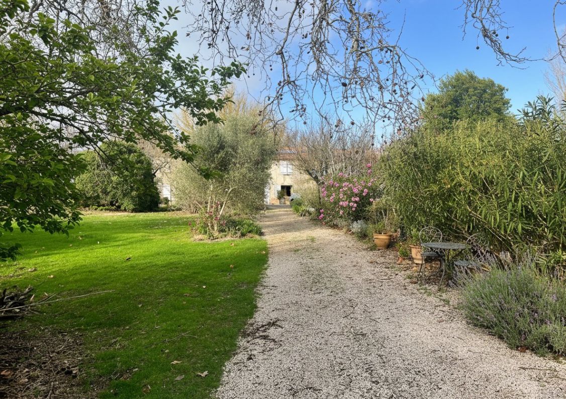 vente Domaine Belveze Du Razes