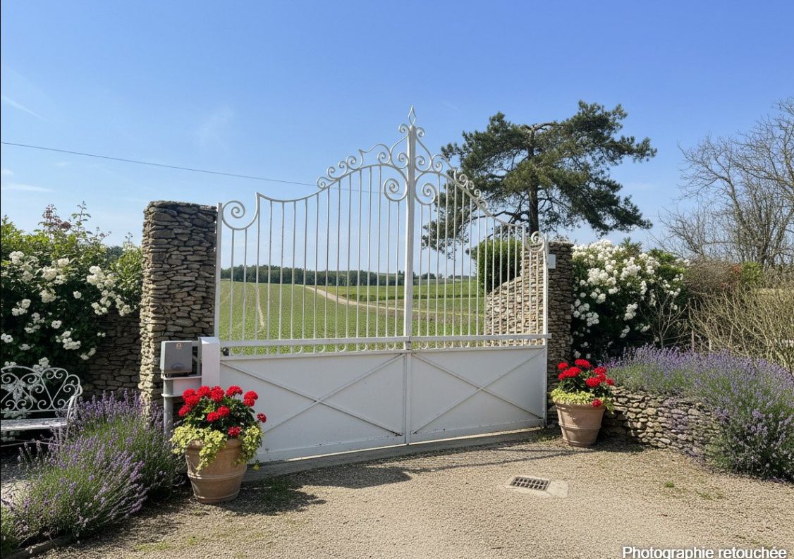 vente Domaine Belveze Du Razes