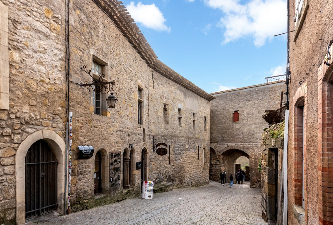 vente Demeure Carcassonne - Photo 3