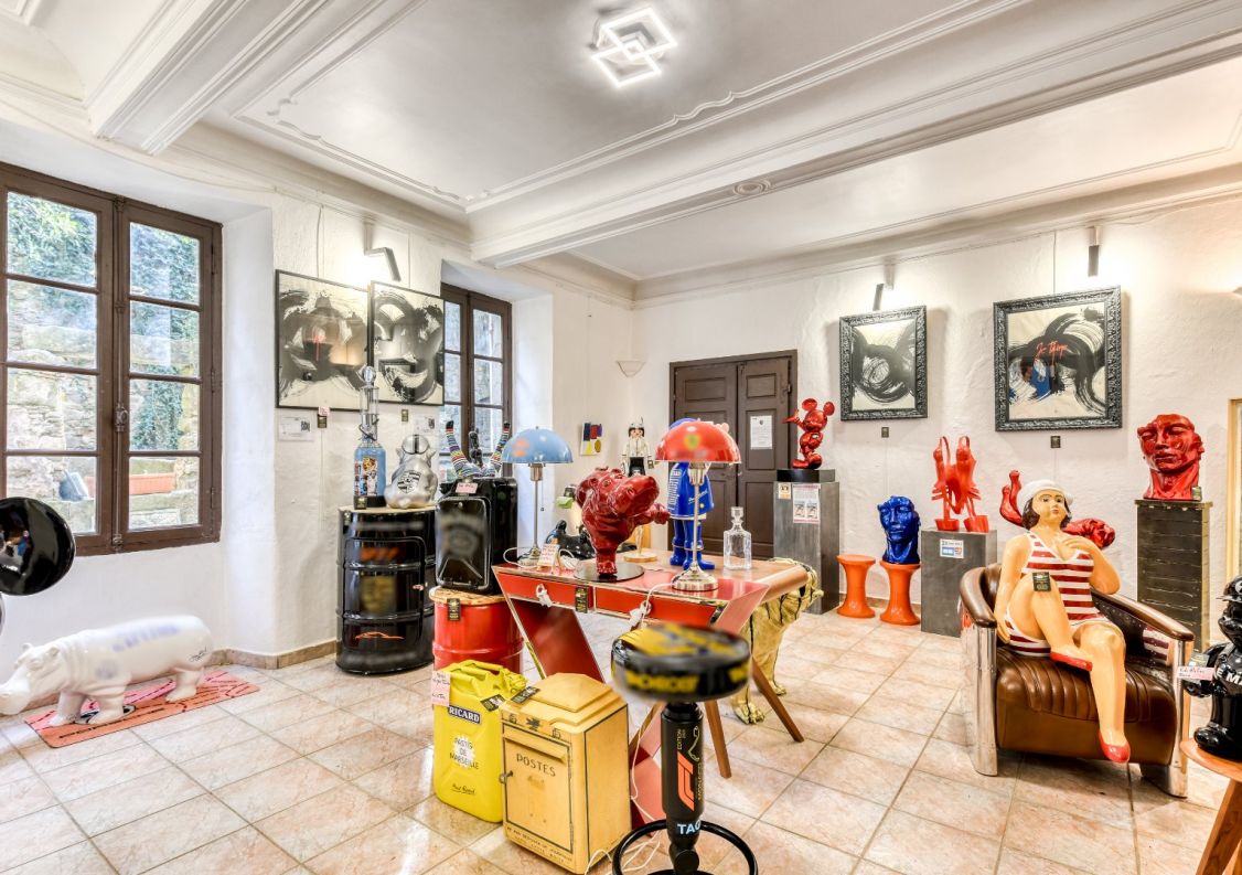 vente Demeure Carcassonne