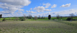 vente Maison individuelle Lasbordes