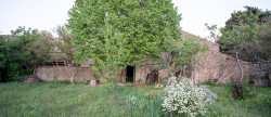 vente Maison de caractère Laure Minervois