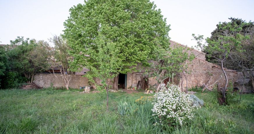 vente Maison de caractère Laure Minervois