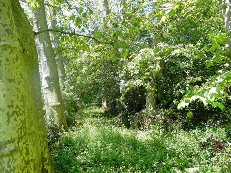 vente Maison de maître Saissac - Photo 19
