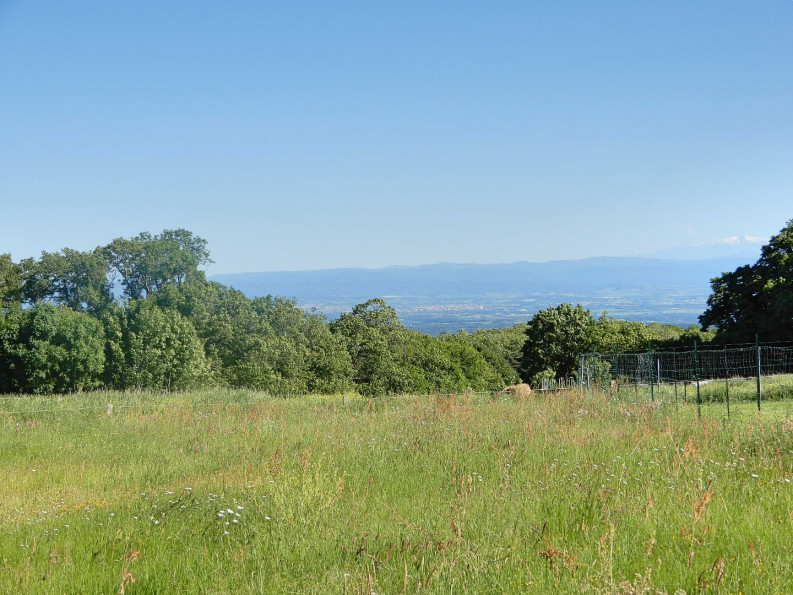 vente Maison de maître Saissac - Photo 20