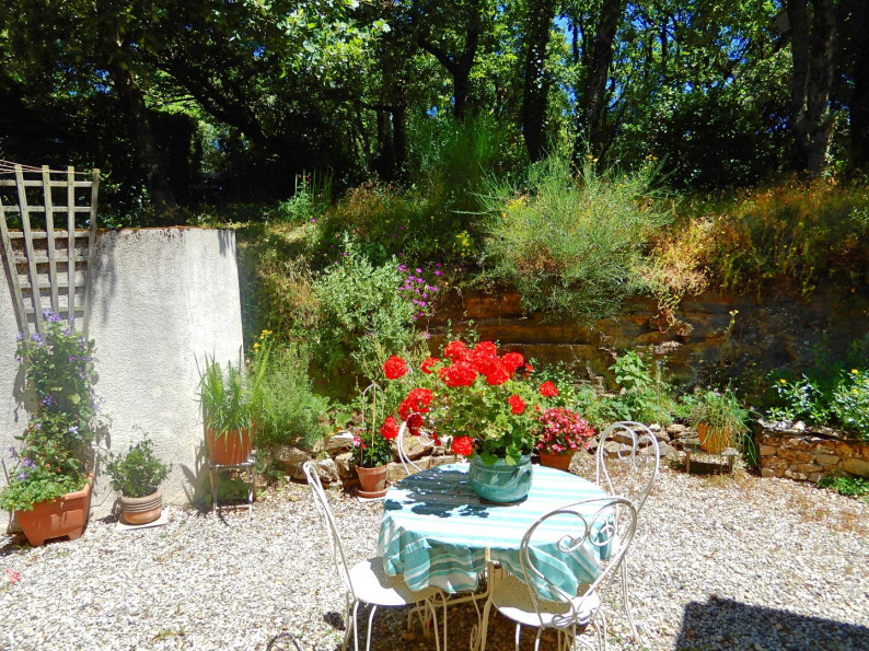 vente Maison individuelle Brousses Et Villaret - Photo 13