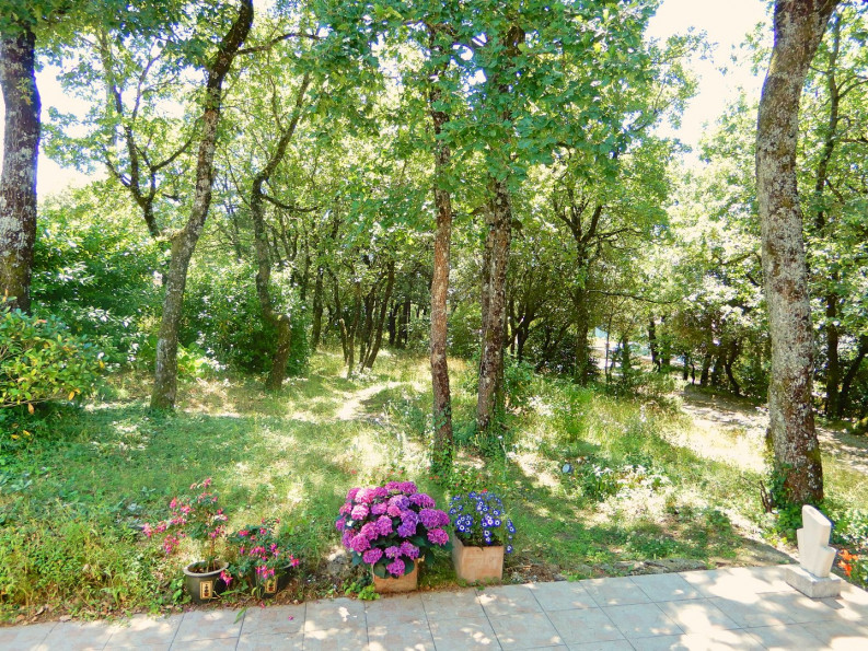 vente Maison individuelle Brousses Et Villaret - Photo 17