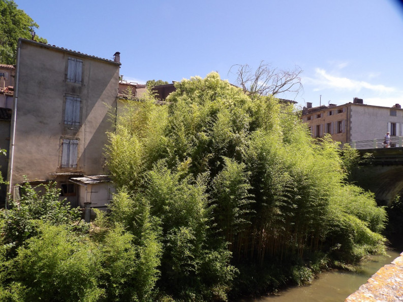 sale Maison Chalabre - Photo 13