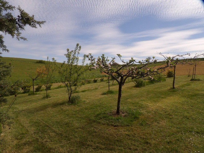 vente Maison de campagne Mirepoix - Photo 18
